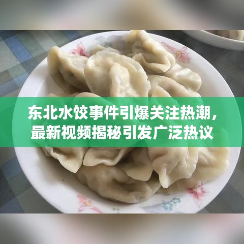 東北水餃?zhǔn)录P(guān)注熱潮，最新視頻揭秘引發(fā)廣泛熱議