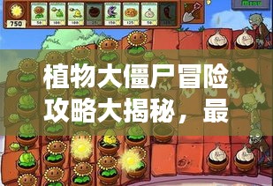 植物大僵尸冒險(xiǎn)攻略大揭秘，最新攻略助你輕松通關(guān)！