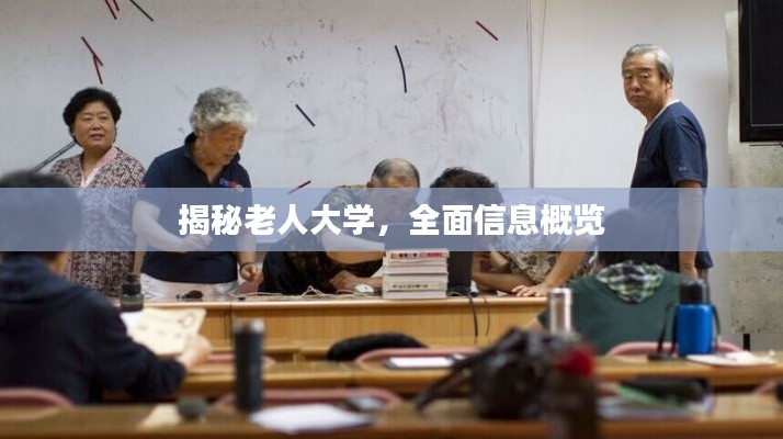 揭秘老人大學(xué)，全面信息概覽