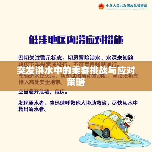 突發(fā)洪水中的乘客挑戰(zhàn)與應(yīng)對(duì)策略