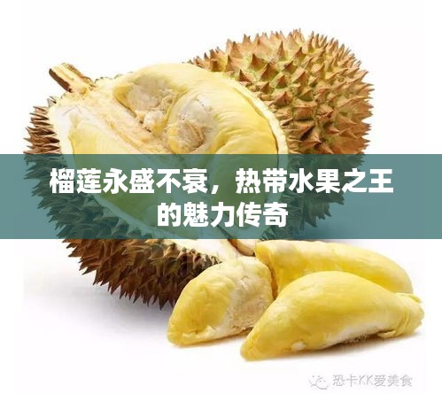榴蓮永盛不衰，熱帶水果之王的魅力傳奇