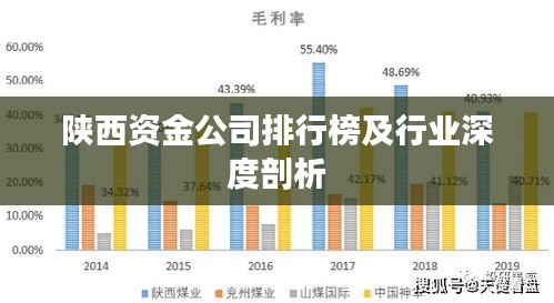 陜西資金公司排行榜及行業(yè)深度剖析
