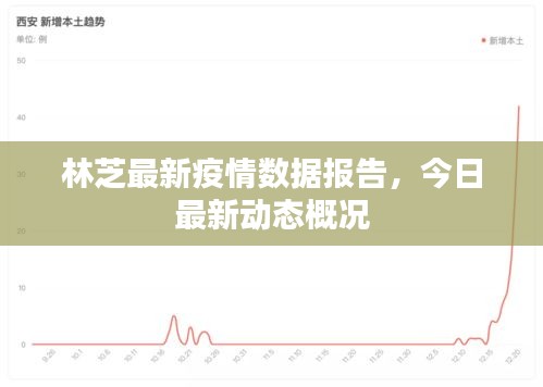 林芝最新疫情數(shù)據(jù)報告，今日最新動態(tài)概況