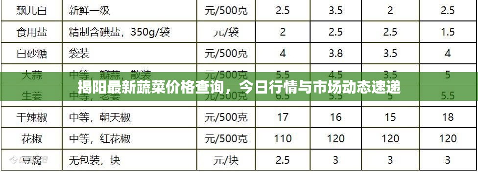 揭陽(yáng)最新蔬菜價(jià)格查詢，今日行情與市場(chǎng)動(dòng)態(tài)速遞