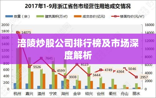 涪陵炒股公司排行榜及市場深度解析