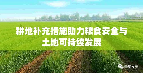 耕地補(bǔ)充措施助力糧食安全與土地可持續(xù)發(fā)展