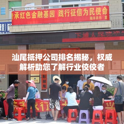 汕尾抵押公司排名揭秘，權(quán)威解析助您了解行業(yè)佼佼者