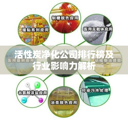 活性炭凈化公司排行榜及行業(yè)影響力解析