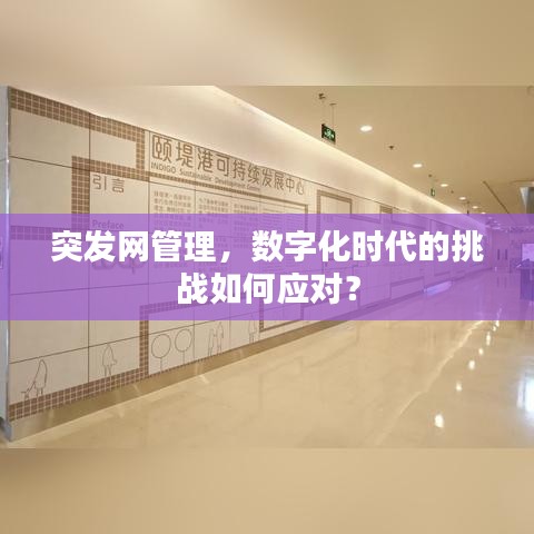 突發(fā)網(wǎng)管理，數(shù)字化時代的挑戰(zhàn)如何應(yīng)對？