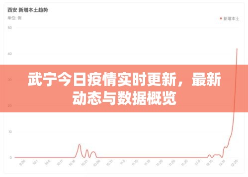 武寧今日疫情實(shí)時(shí)更新，最新動(dòng)態(tài)與數(shù)據(jù)概覽