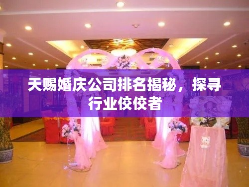 天賜婚慶公司排名揭秘，探尋行業(yè)佼佼者