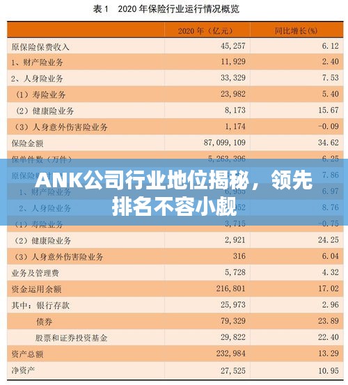 ANK公司行業(yè)地位揭秘，領(lǐng)先排名不容小覷