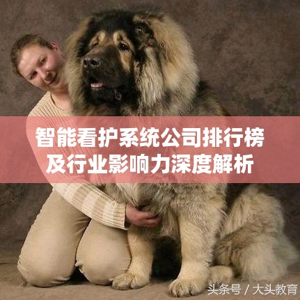智能看護(hù)系統(tǒng)公司排行榜及行業(yè)影響力深度解析