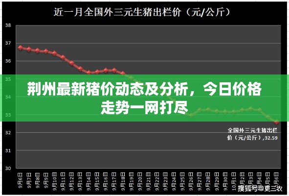 荊州最新豬價(jià)動(dòng)態(tài)及分析，今日價(jià)格走勢(shì)一網(wǎng)打盡