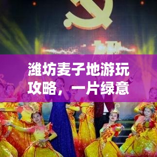 濰坊麥子地游玩攻略，一片綠意盎然的旅程