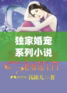 獨家婚寵系列小說大推薦！不容錯過的相似佳作