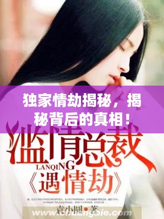 獨(dú)家情劫揭秘，揭秘背后的真相！
