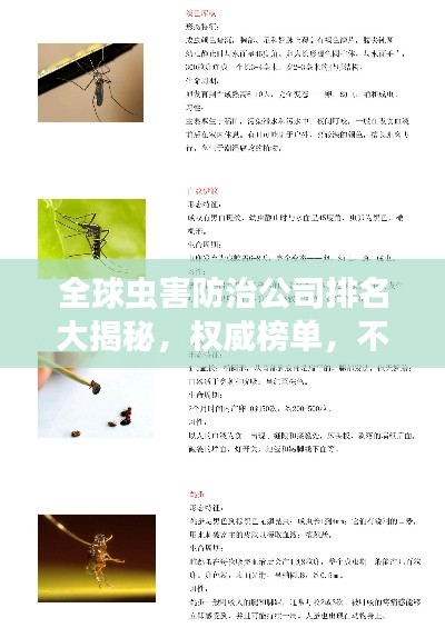 全球蟲害防治公司排名大揭秘，權(quán)威榜單，不容錯(cuò)過！