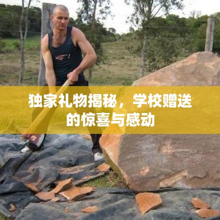 獨(dú)家禮物揭秘，學(xué)校贈(zèng)送的驚喜與感動(dòng)