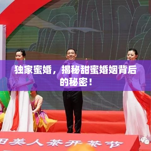 獨(dú)家蜜婚，揭秘甜蜜婚姻背后的秘密！