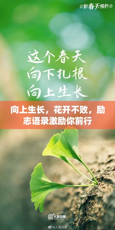 向上生長(zhǎng)，花開(kāi)不敗，勵(lì)志語(yǔ)錄激勵(lì)你前行