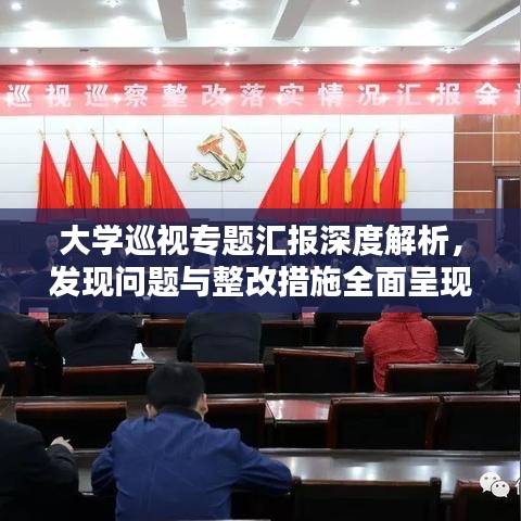 大學巡視專題匯報深度解析，發(fā)現(xiàn)問題與整改措施全面呈現(xiàn)
