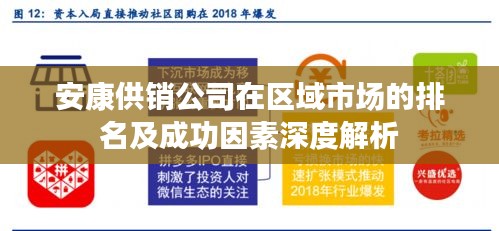 安康供銷公司在區(qū)域市場的排名及成功因素深度解析