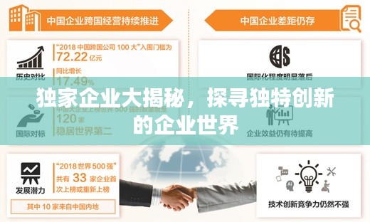 獨(dú)家企業(yè)大揭秘，探尋獨(dú)特創(chuàng)新的企業(yè)世界
