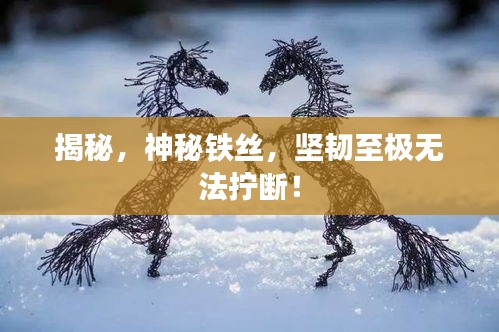 揭秘，神秘鐵絲，堅(jiān)韌至極無(wú)法擰斷！