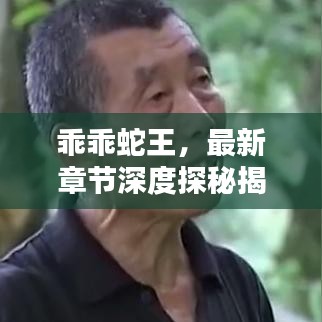 乖乖蛇王，最新章節(jié)深度探秘揭秘！