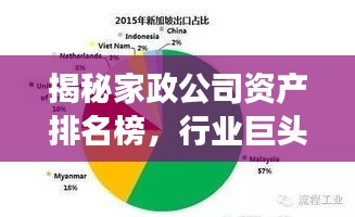 揭秘家政公司資產(chǎn)排名榜，行業(yè)巨頭及成功秘訣大解密！
