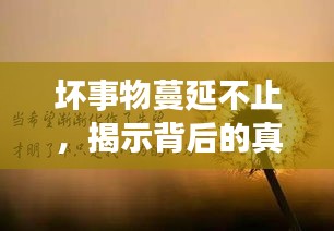 壞事物蔓延不止，揭示背后的真相
