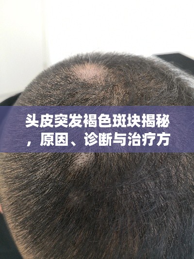 張王李趙