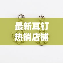 最新耳釘熱銷店鋪TOP排名榜，時尚潮流必覽！