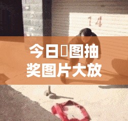 今日囧圖抽獎圖片大放送，歡樂與驚喜的瞬間，快來一探究竟！