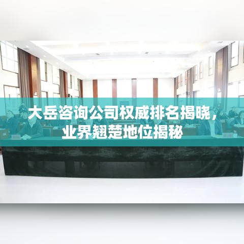 大岳咨詢公司權(quán)威排名揭曉，業(yè)界翹楚地位揭秘