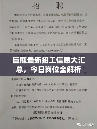 巨鹿最新招工信息大匯總，今日崗位全解析