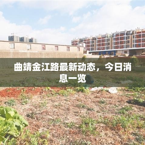 曲靖金江路最新動態(tài)，今日消息一覽