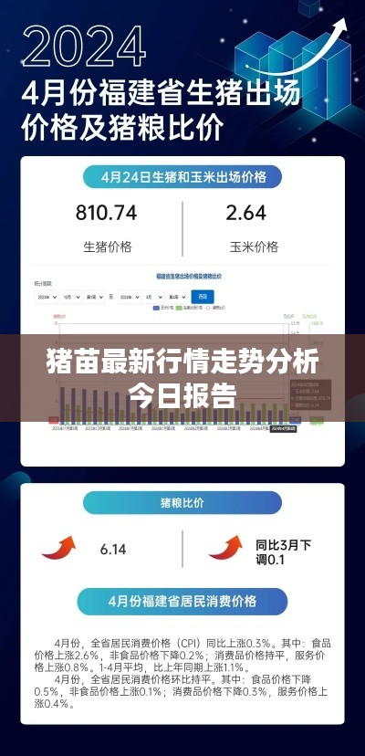 豬苗最新行情走勢(shì)分析今日?qǐng)?bào)告