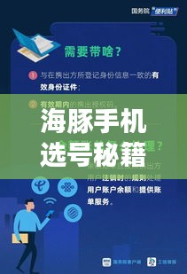 海豚手機選號秘籍，最新攻略指南助你輕松選號！