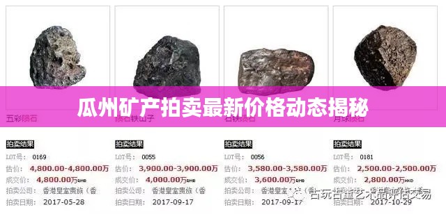 瓜州礦產拍賣最新價格動態(tài)揭秘