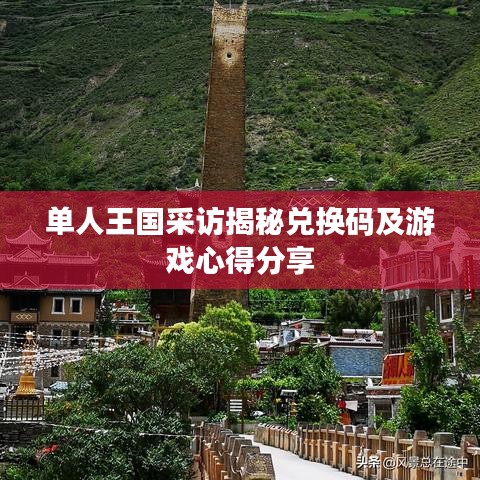 單人王國(guó)采訪(fǎng)揭秘兌換碼及游戲心得分享
