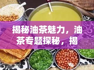揭秘油茶魅力，油茶專題探秘，揭示其重要性！