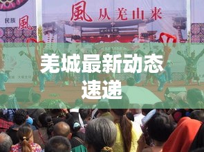 羌城最新動態(tài)速遞