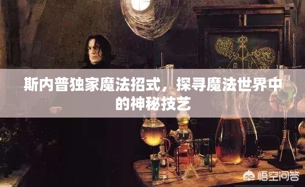 斯內(nèi)普獨家魔法招式，探尋魔法世界中的神秘技藝