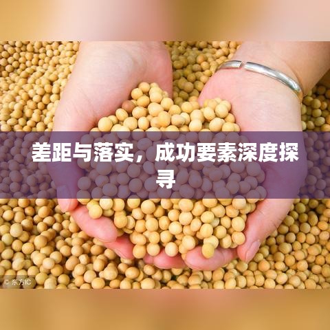 差距與落實，成功要素深度探尋