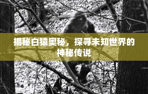 揭秘白猿奧秘，探尋未知世界的神秘傳說