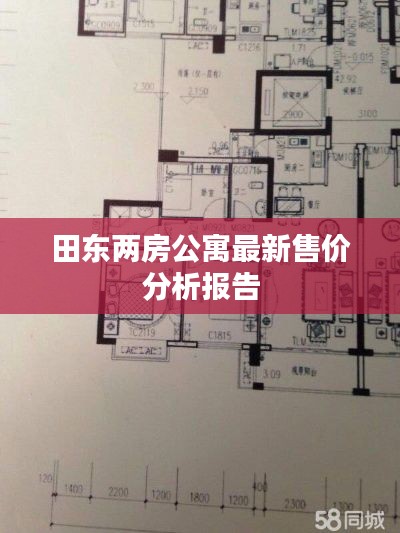 田東兩房公寓最新售價(jià)分析報(bào)告
