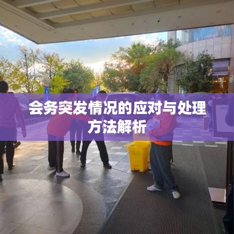 會(huì)務(wù)突發(fā)情況的應(yīng)對(duì)與處理方法解析