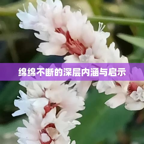 云龍井蛙